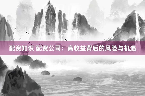 配资知识 配资公司：高收益背后的风险与机遇