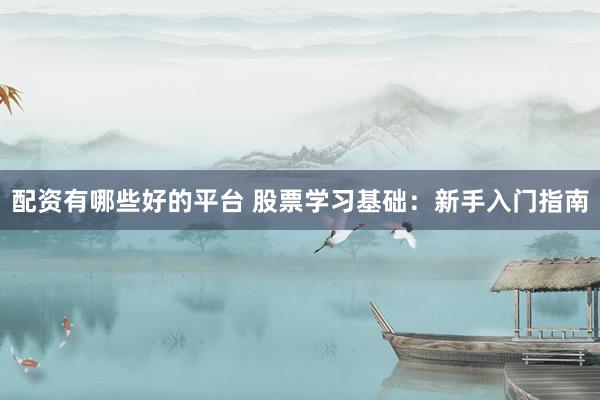 配资有哪些好的平台 股票学习基础：新手入门指南