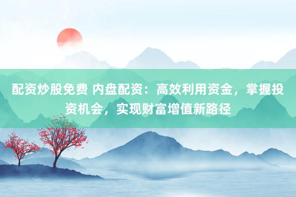 配资炒股免费 内盘配资：高效利用资金，掌握投资机会，实现财富增值新路径