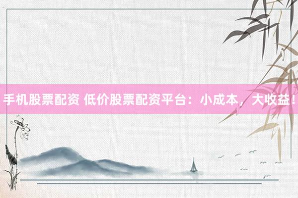 手机股票配资 低价股票配资平台：小成本，大收益！