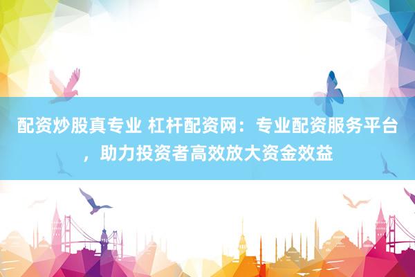 配资炒股真专业 杠杆配资网：专业配资服务平台，助力投资者高效放大资金效益