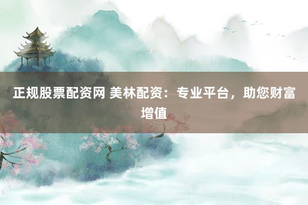 正规股票配资网 美林配资：专业平台，助您财富增值