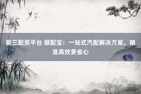 前三配资平台 顺配宝：一站式汽配解决方案，精准高效更省心