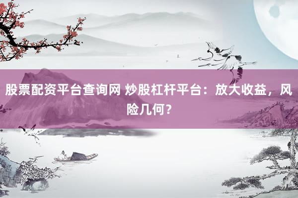 股票配资平台查询网 炒股杠杆平台：放大收益，风险几何？