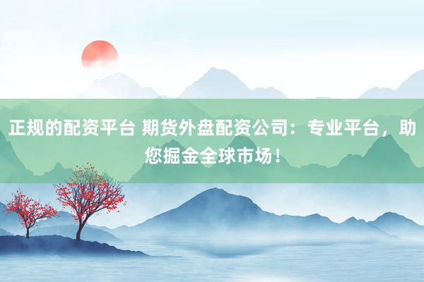 正规的配资平台 期货外盘配资公司：专业平台，助您掘金全球市场！