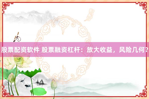股票配资软件 股票融资杠杆:放大收益,风险几何?