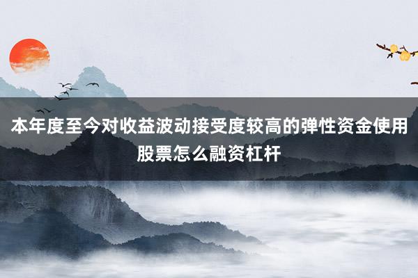 本年度至今对收益波动接受度较高的弹性资金使用股票怎么融资杠杆