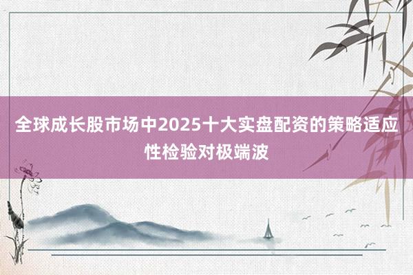 全球成长股市场中2025十大实盘配资的策略适应性检验对极端波