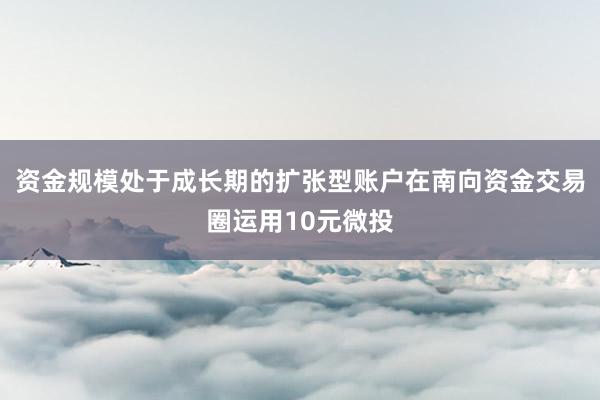 资金规模处于成长期的扩张型账户在南向资金交易圈运用10元微投