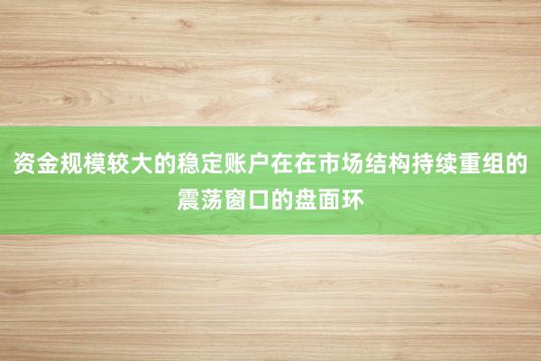 资金规模较大的稳定账户在在市场结构持续重组的震荡窗口的盘面环
