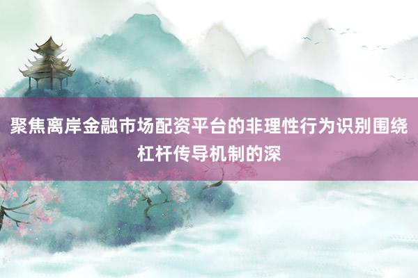 聚焦离岸金融市场配资平台的非理性行为识别围绕杠杆传导机制的深
