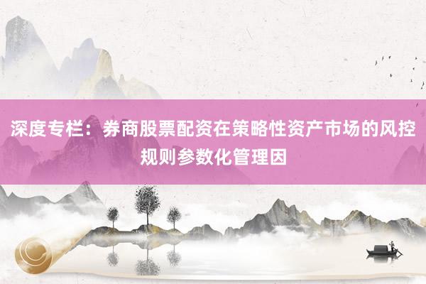 深度专栏：券商股票配资在策略性资产市场的风控规则参数化管理因