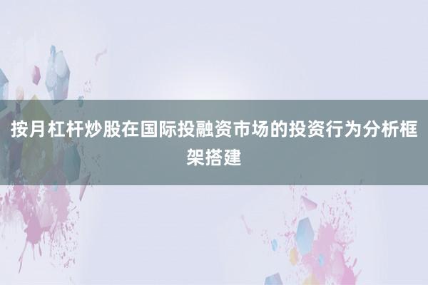 按月杠杆炒股在国际投融资市场的投资行为分析框架搭建