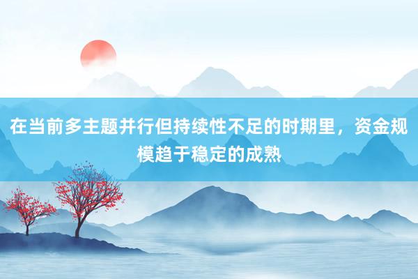 在当前多主题并行但持续性不足的时期里，资金规模趋于稳定的成熟