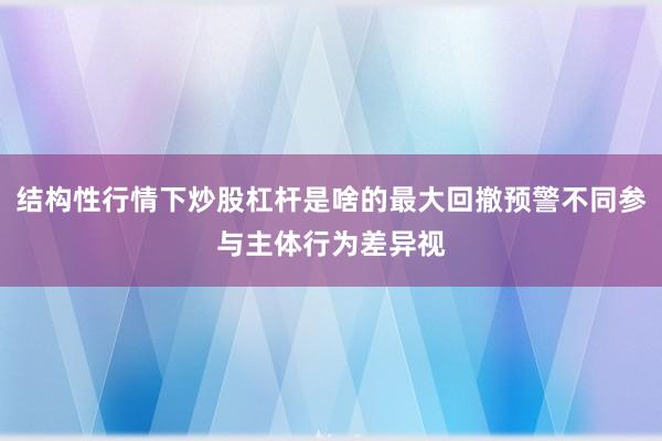 结构性行情下炒股杠杆是啥的最大回撤预警不同参与主体行为差异视