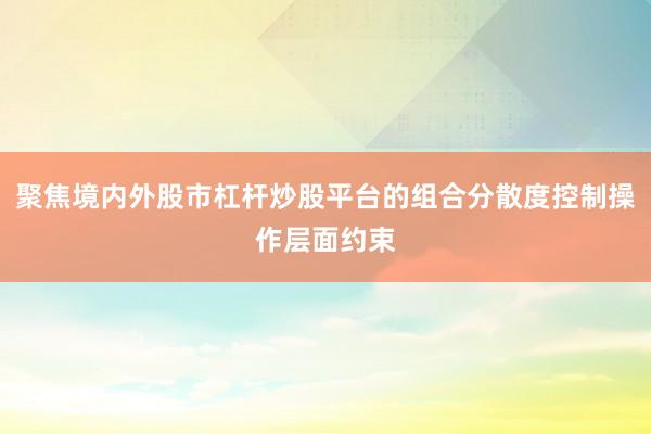 聚焦境内外股市杠杆炒股平台的组合分散度控制操作层面约束
